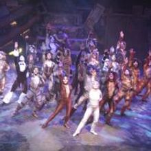 CATS Plays The Palace Theatre, 10/30-11/14